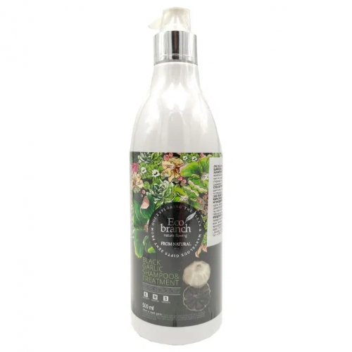 Шампунь-кондиционер с экстрактом черного чеснока Eco Branch Black Garlic Shampoo&Treatment 