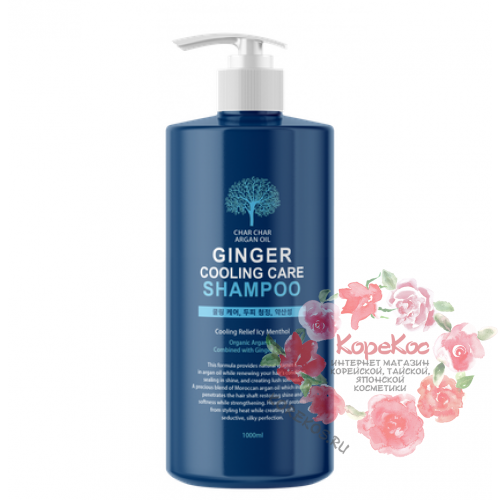 Охлаждающий шампунь с экстрактом мяты и имбиря Evas Char Char Argan Oil Ginger Cooling Care Shampoo